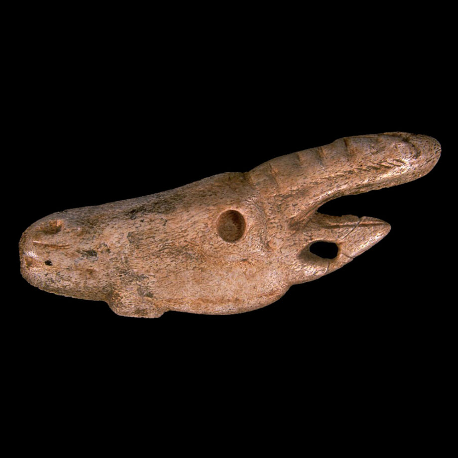 Cabeza de cabra de Tito Bustillo