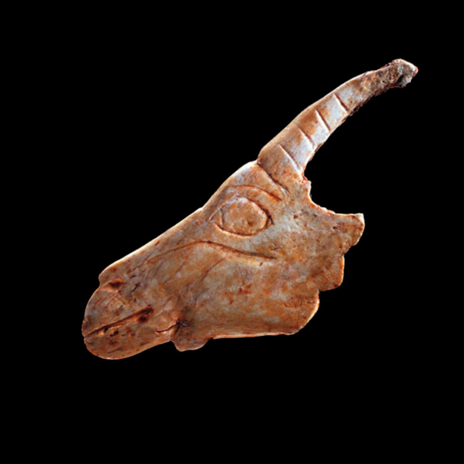 Cabeza de cabra de la Garma