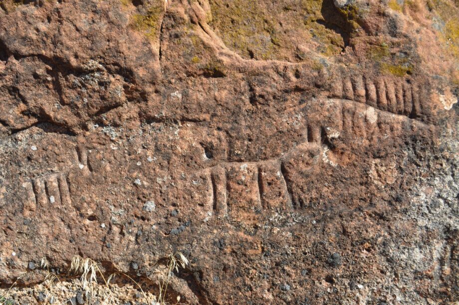 Équido del dolmen de Mazariegos